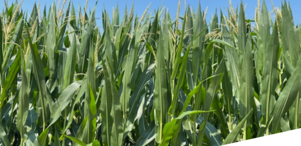 Make Safety a Priority during harvest season